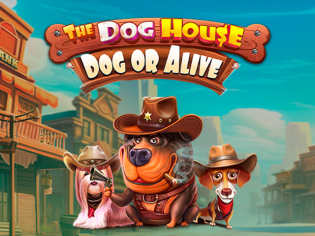 The Dog House – Dog or Alive — Pragmatic Play